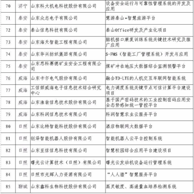 日照5家企業入選省級重點項目名單，引領網絡與信息安全軟件開發新浪潮